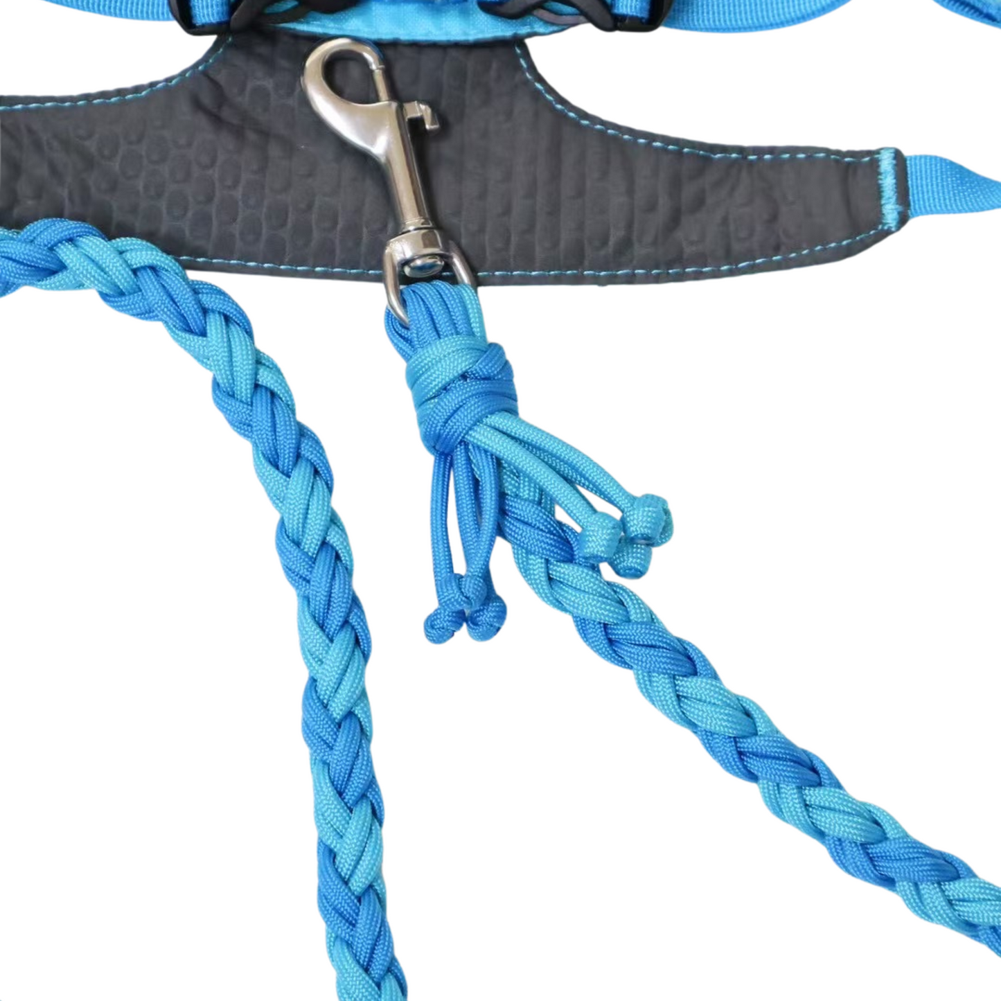 Handwoven Dog Leash with Leather Handle – Customizable Rope Leash for Pets