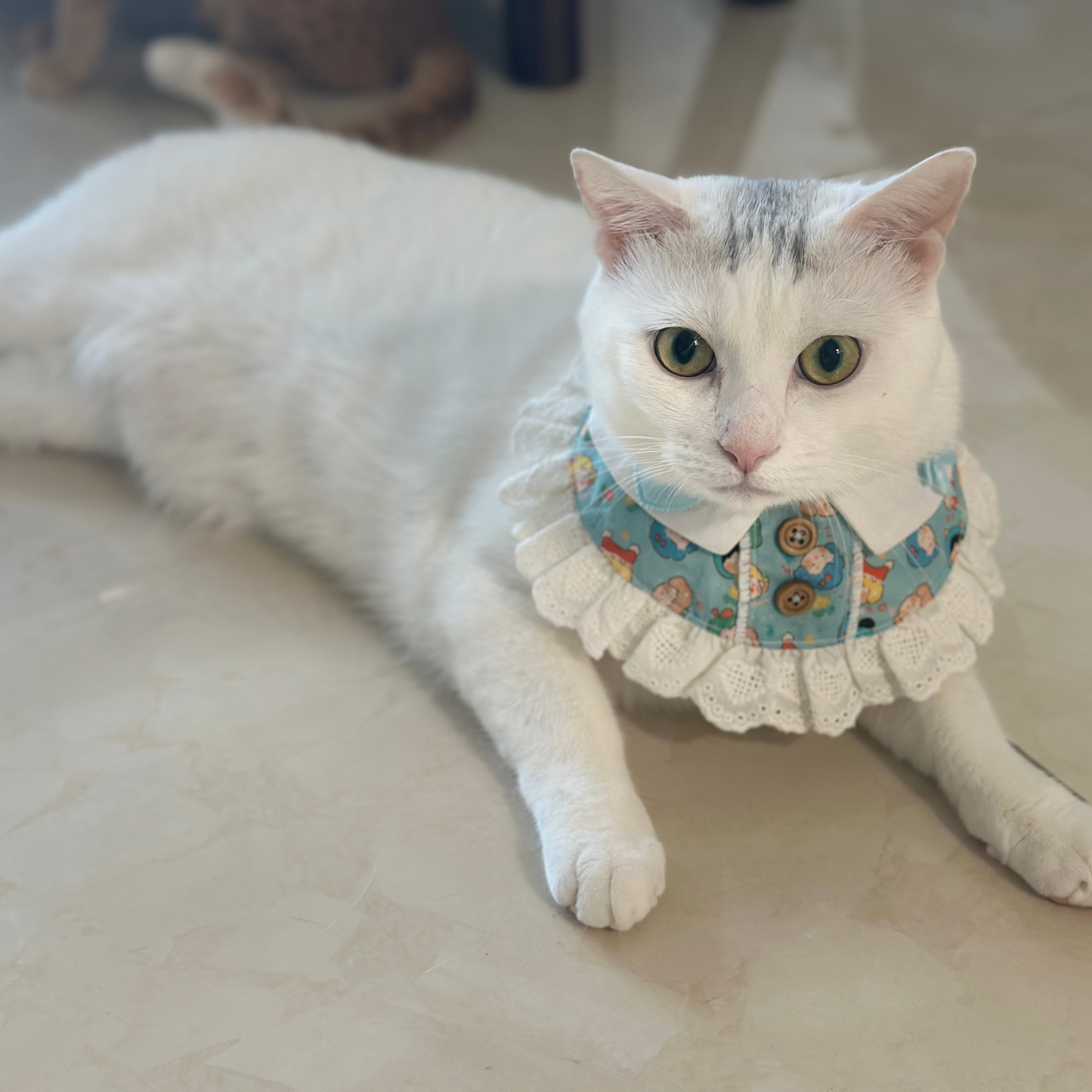 Customizable Cute Lace Pet Collar β Handmade Pet Ruffle Bib with Cartoon Print | Detachable Soft Cat Accessory for Photos & Outfits