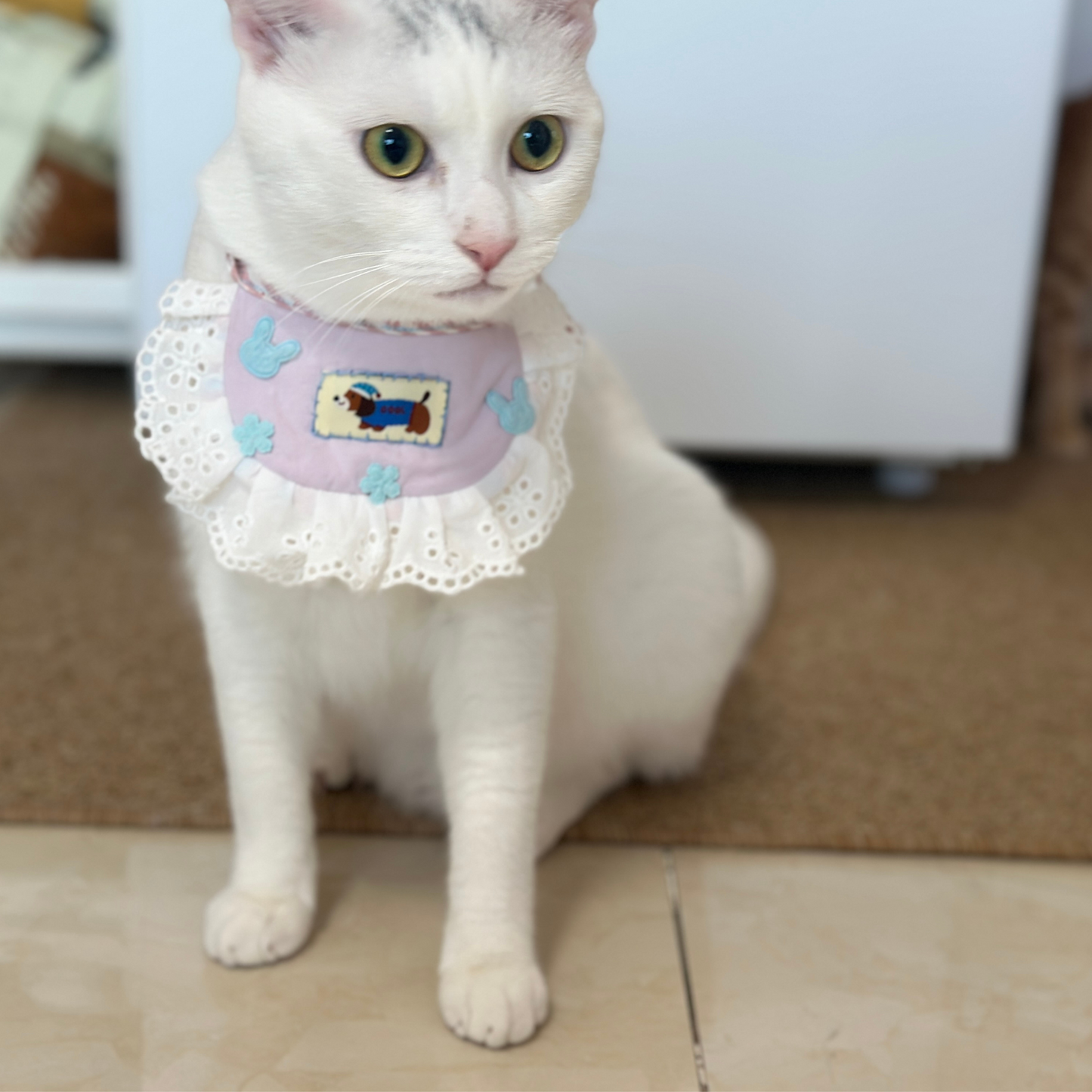 Handmade Adjustable Double-Side Lace Pet Bib β Cute Ruffle Collar for Cats or Small Dogs | Handmade Pet Bandana | Frilly Neck Accessory