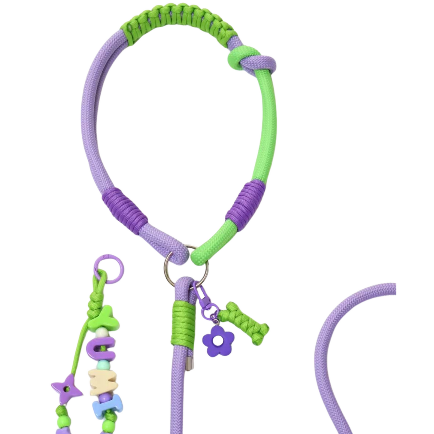 Handmade Purple Color Clash Dog Leash - Bold Designer Pet Leash for Medium Large Dogs