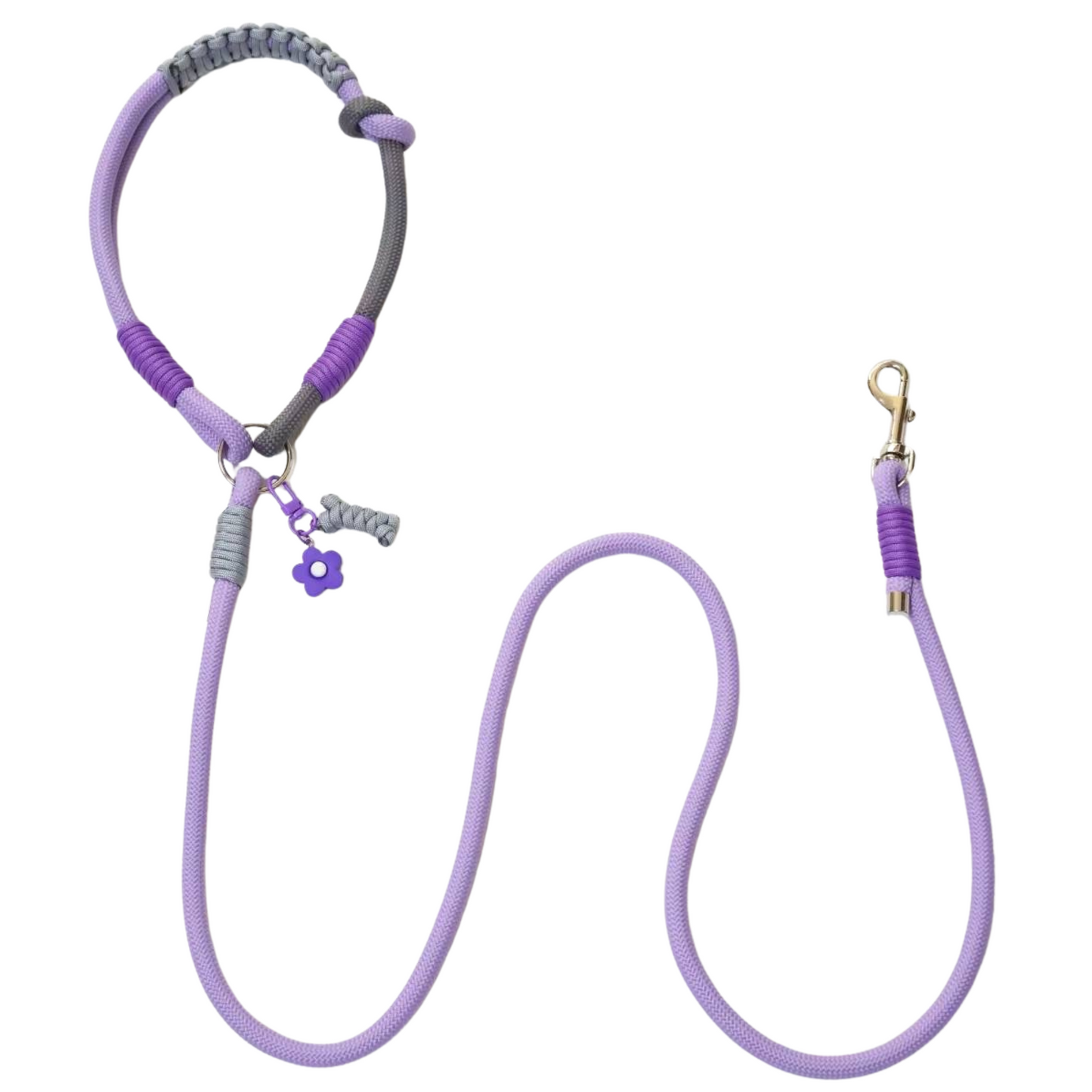 Handmade Purple Color Clash Dog Leash - Bold Designer Pet Leash for Medium Large Dogs