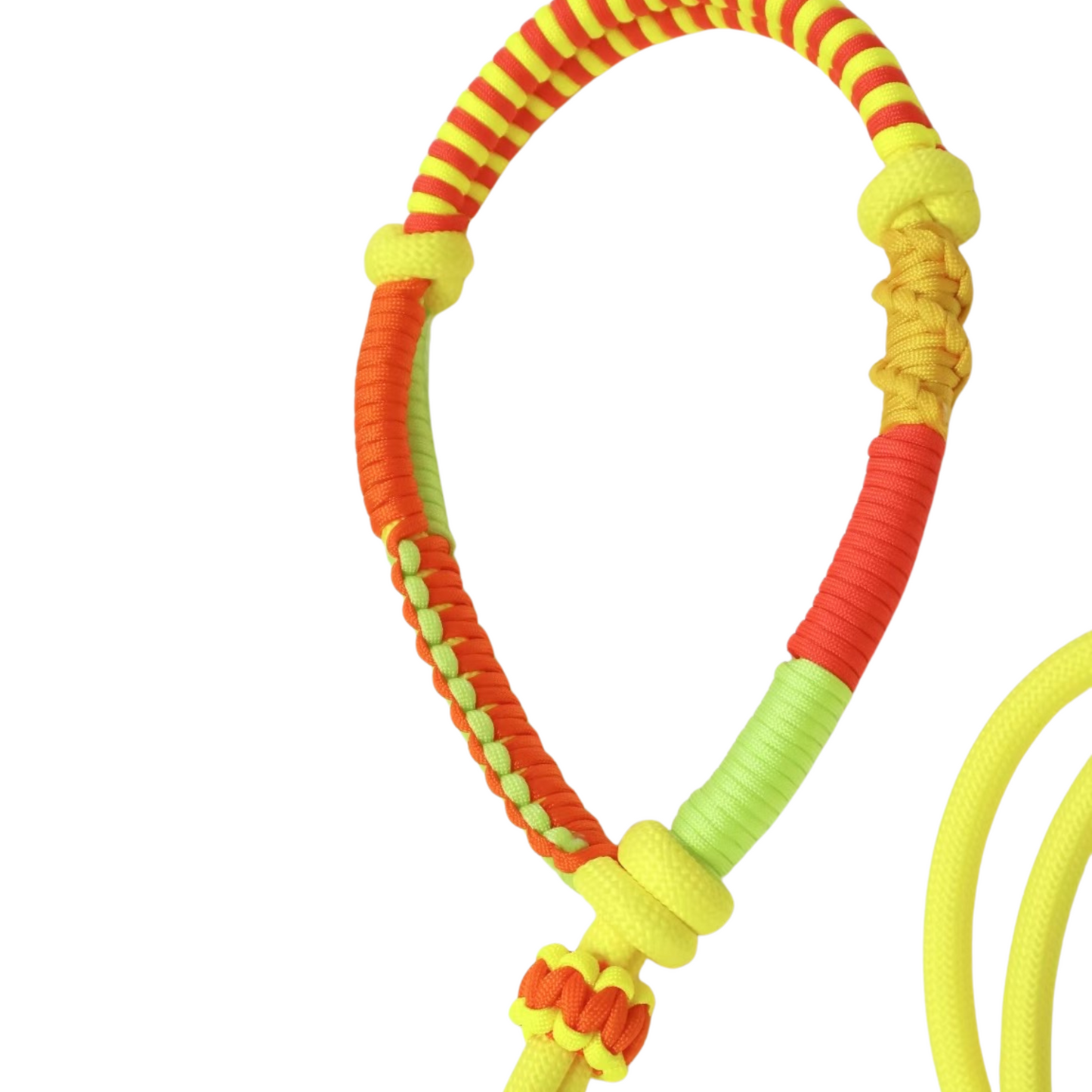 Handmade Yellow Dog Leash – Custom Rope Leash for All Dog Sizes, Original Design
