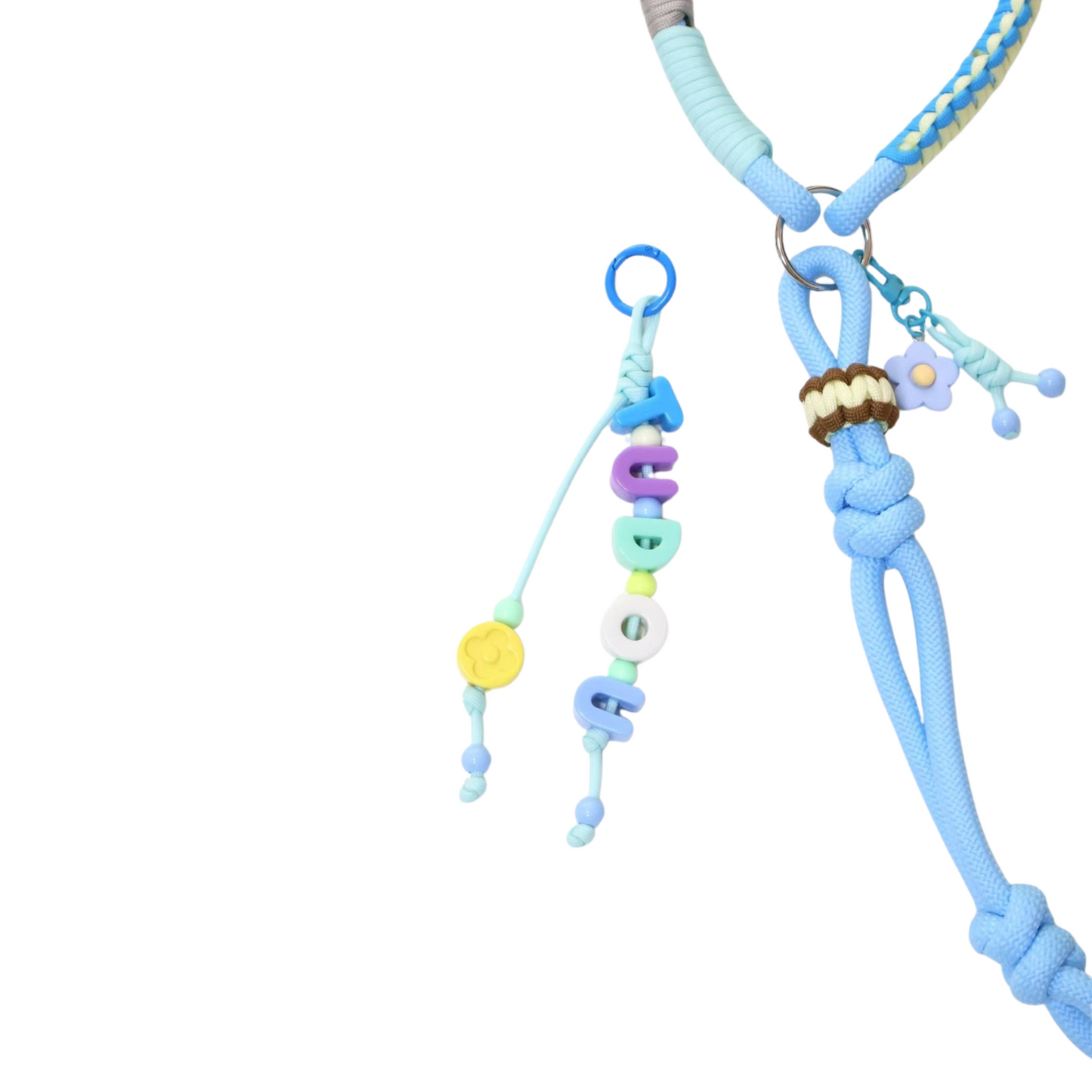 Custom Blue Handwoven Dog Leash with Name Charm โ Dopamine Color Rope Leash for Small to Medium Pets