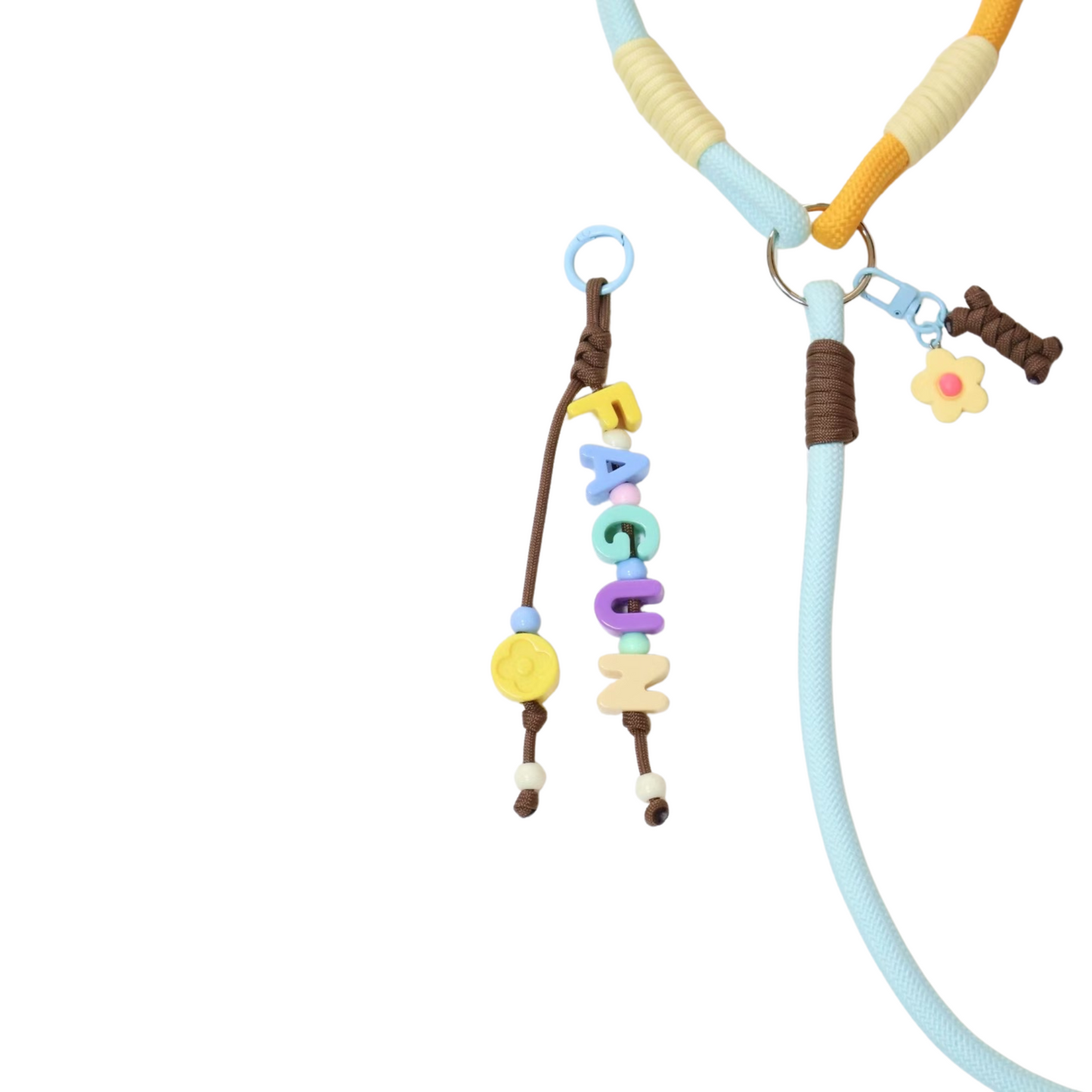 Custom Handwoven Dog Leash โ Dopamine Color Rope Leash with Name Charm for Small to Medium Pets