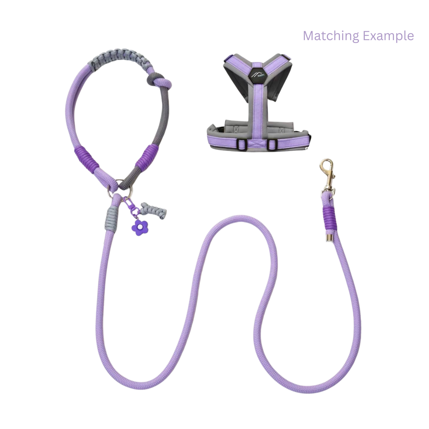 Handmade Purple Color Clash Dog Leash - Bold Designer Pet Leash for Medium Large Dogs