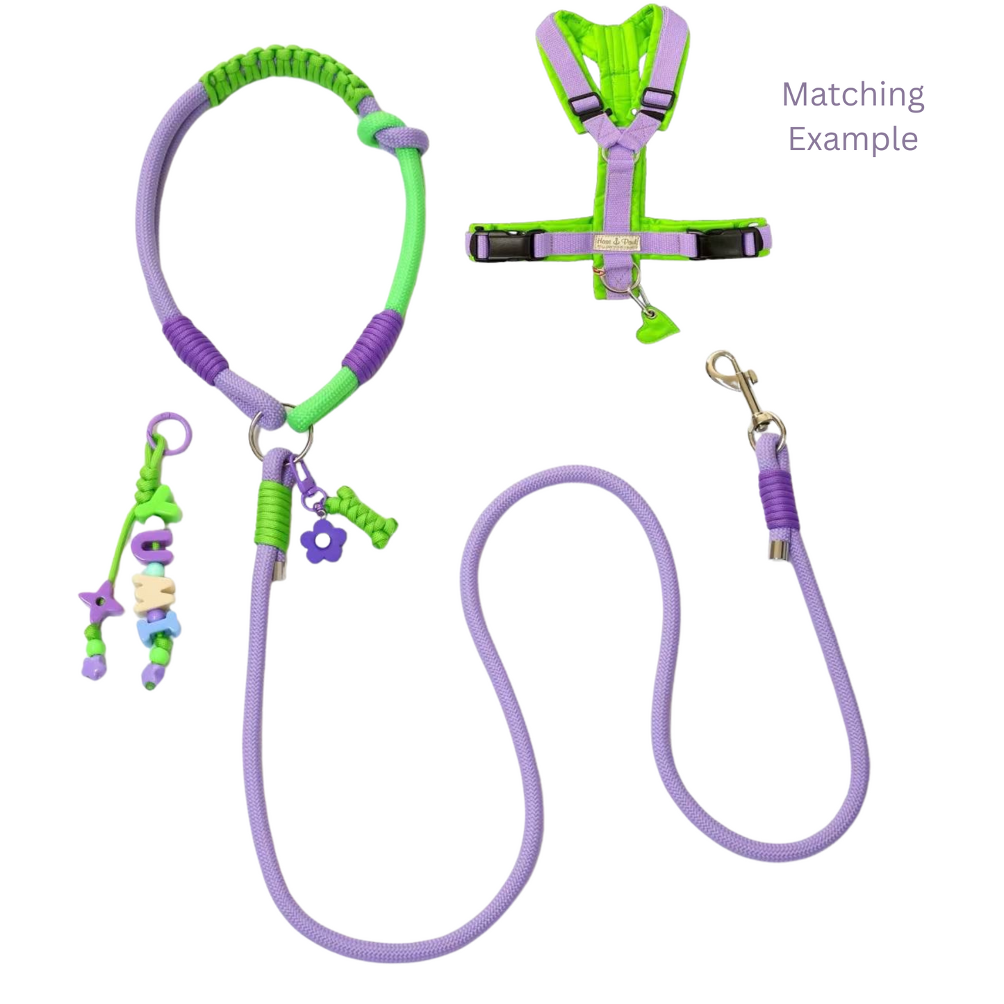 Handmade Purple Color Clash Dog Leash - Bold Designer Pet Leash for Medium Large Dogs