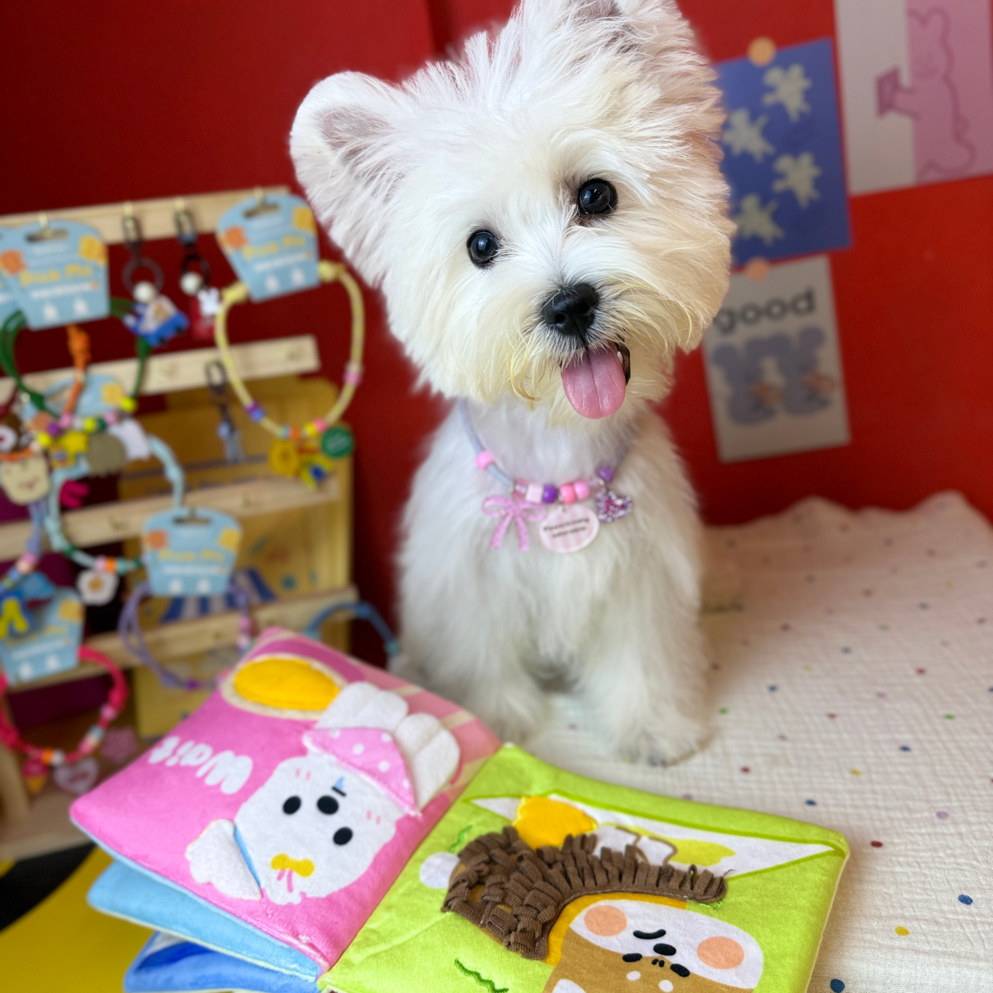 Small white dog with a colorful pet collar sitting on a bed with children's toys in the background.