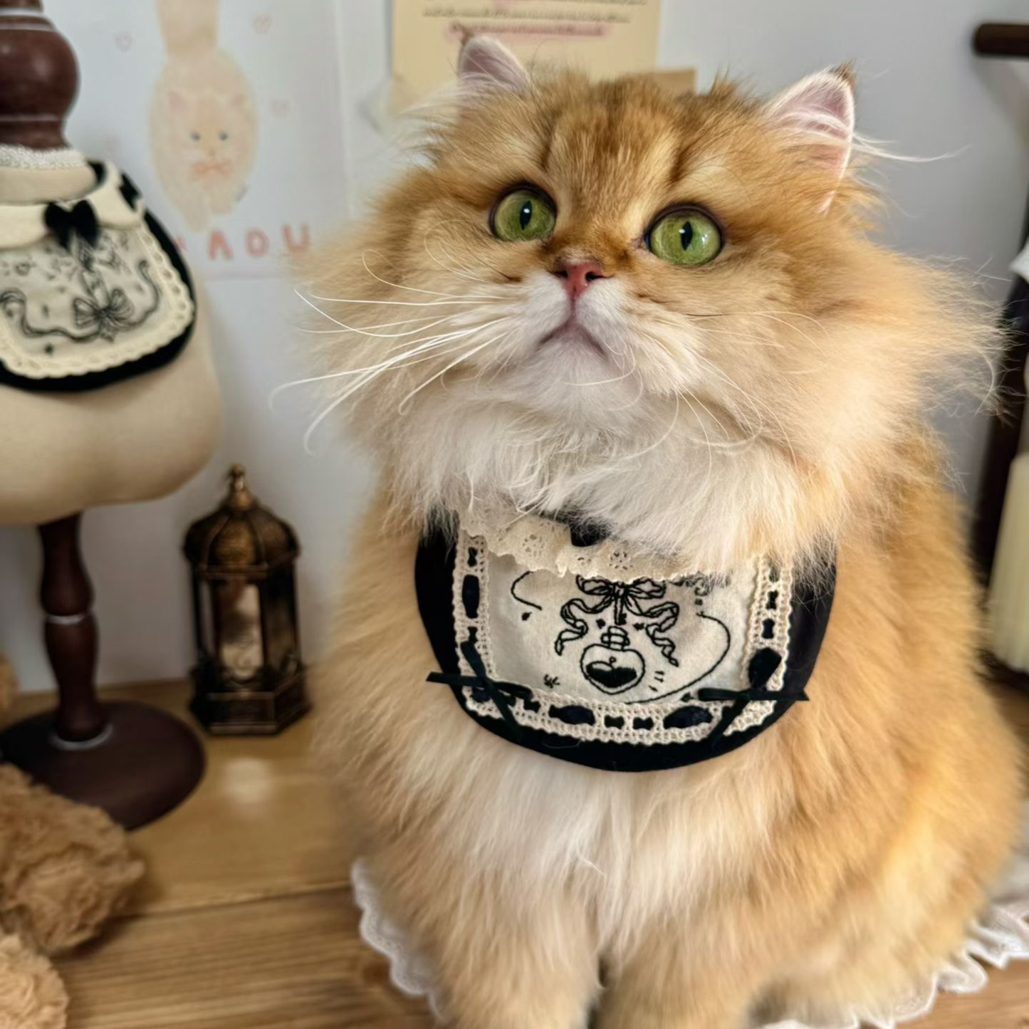 Fluffy cat wearing a decorative bandana in a room with a lamp and teddy bear.