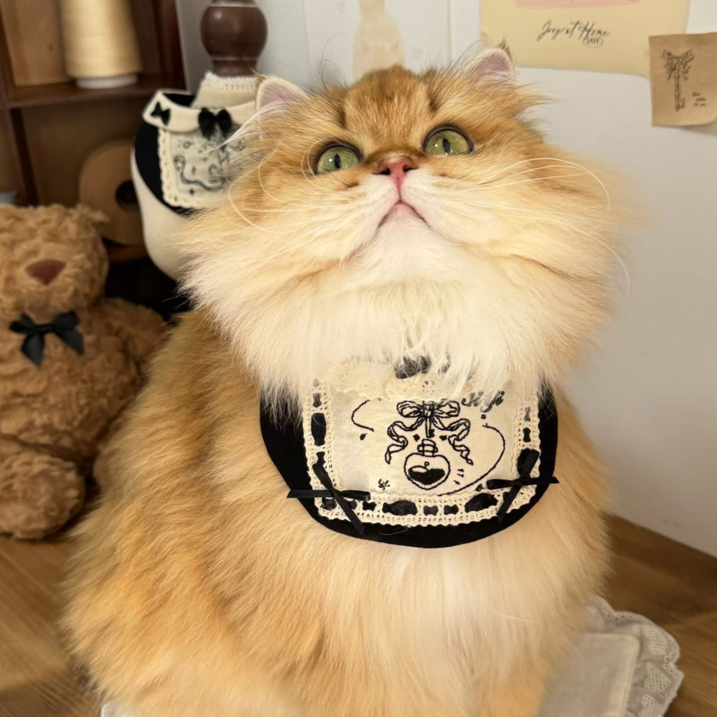Fluffy cat wearing a decorative bandana with teddy bears in the background