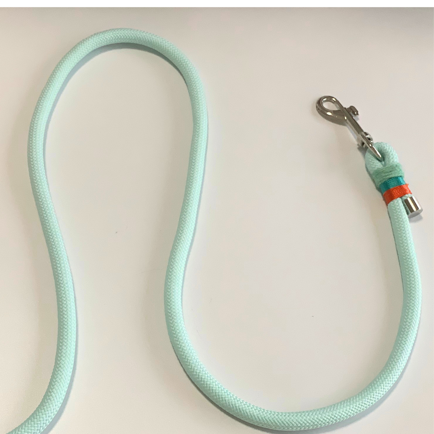 Light blue dog leash with a metal clip on a light beige background