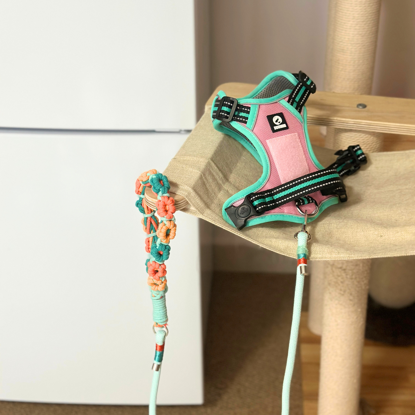 Pink and teal dog harness with a colorful leash on a wooden chair.