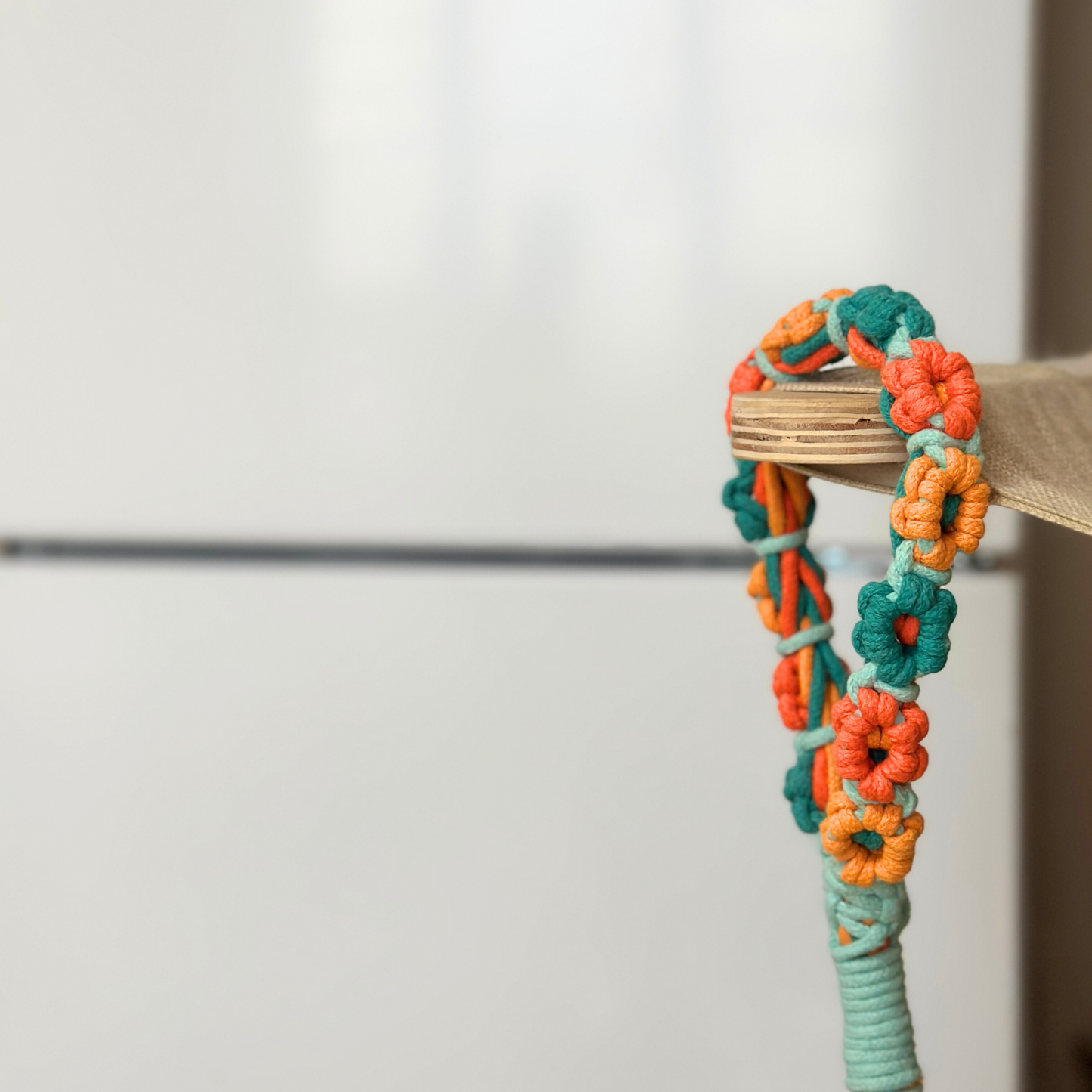 Colorful dog leash handle on a wooden stick against a white background