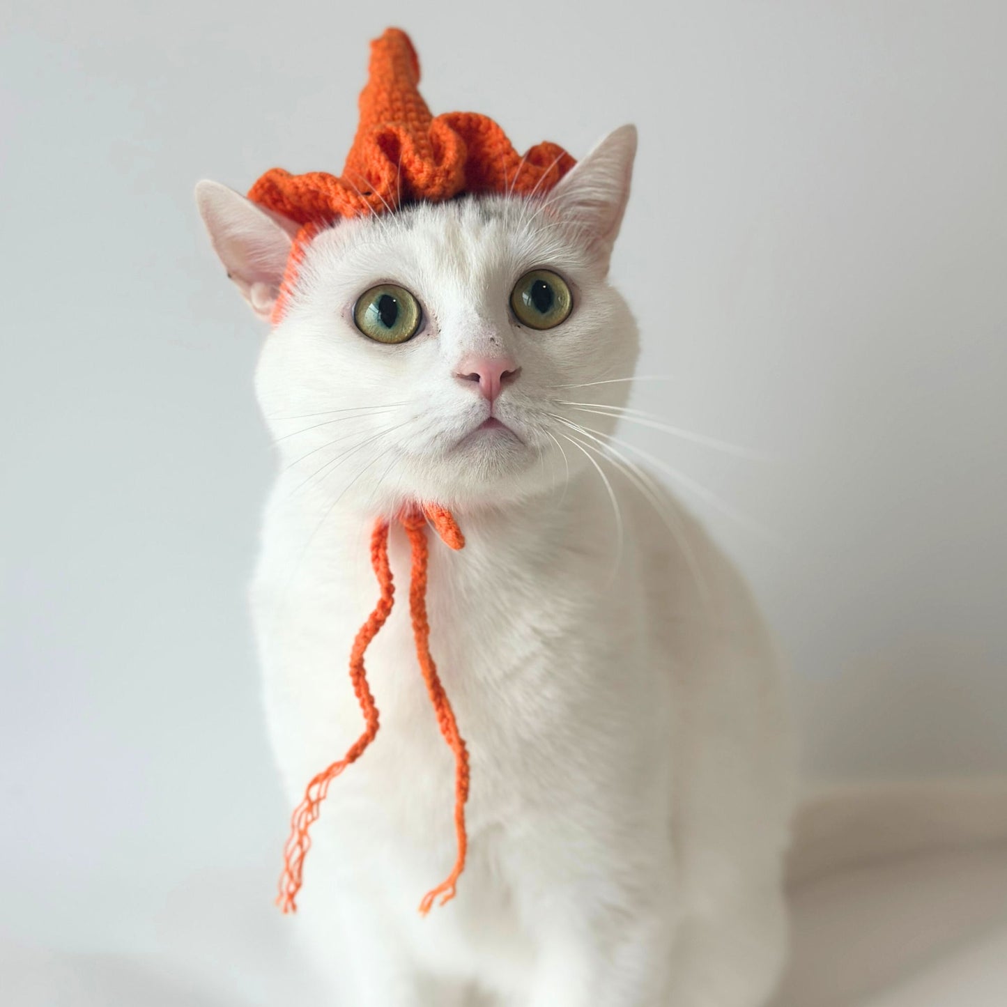 White cat wearing an orange knitted hat on a plain background
