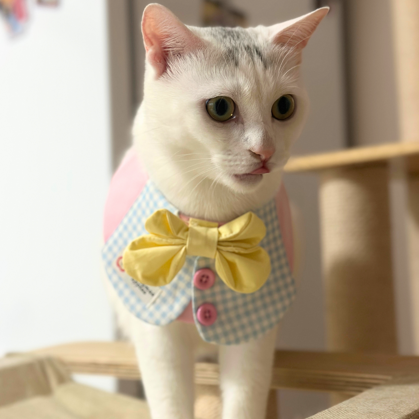 White cat with gray markings and green eyes wearing pink and blue gingham pet bib with yellow bow tie, sitting indoors and looking directly at camera - adorable pet portrait with formal accessories