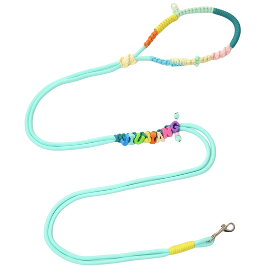 Custom Handmade Dog Leash – Dopamine Color Rope with Personalized Name Tag