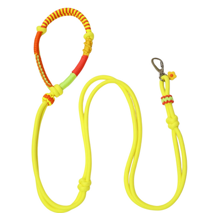 Handmade Yellow Dog Leash – Custom Rope Leash for All Dog Sizes, Original Design