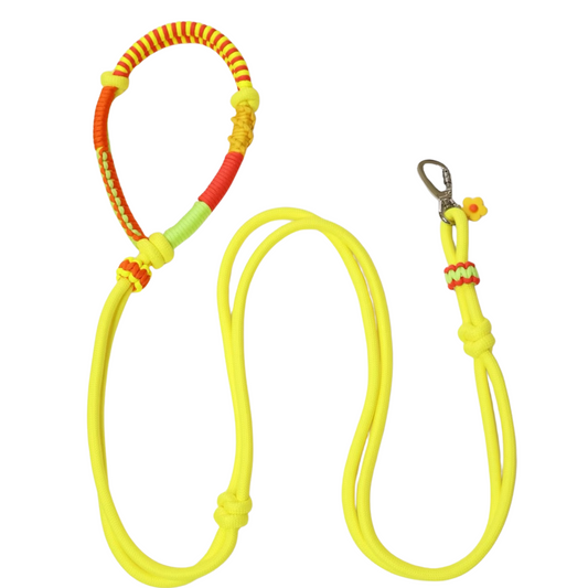 Handmade Yellow Dog Leash – Custom Rope Leash for All Dog Sizes, Original Design