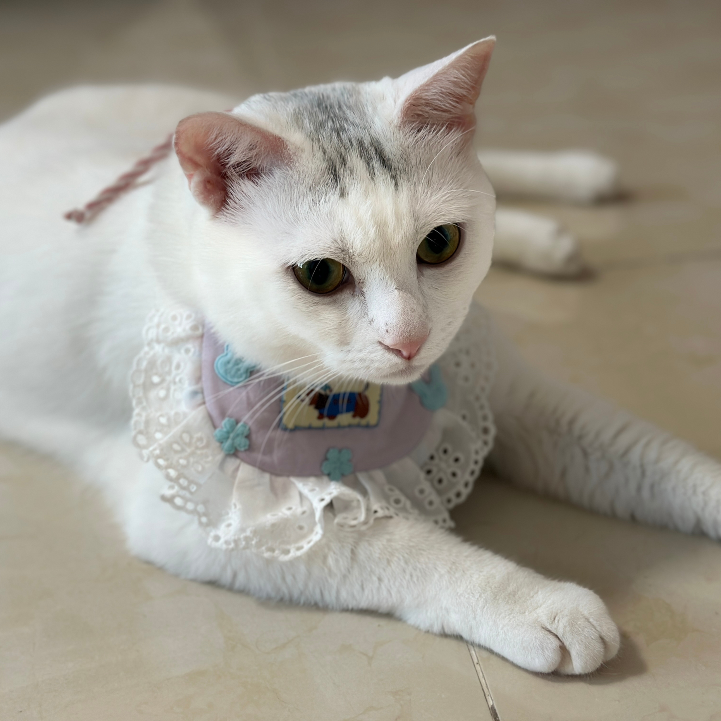 Handmade Adjustable Double-Side Lace Pet Bib – Cute Ruffle Collar for Cats or Small Dogs | Handmade Pet Bandana | Frilly Neck Accessory