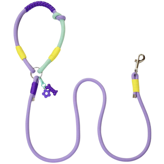 Handmade Purple Color Clash Dog Leash - Bold Designer Pet Leash for Medium Large Dogs