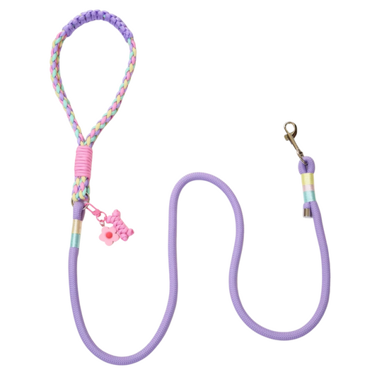 Handmade Dopamine-Style Dog Leash – Colorful Braided Rope Leash with Original Design