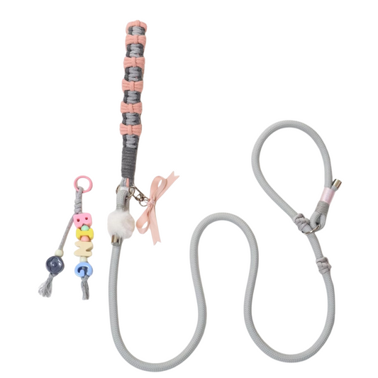 Gray & Pink Bow Dog Leash – Custom Pet Leash with Name Tag, Cute Handmade Design