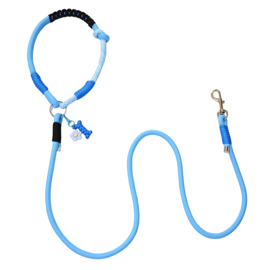 Handmade Color-Block Dog Leash – Custom Rope Leash with Original Design for Pets