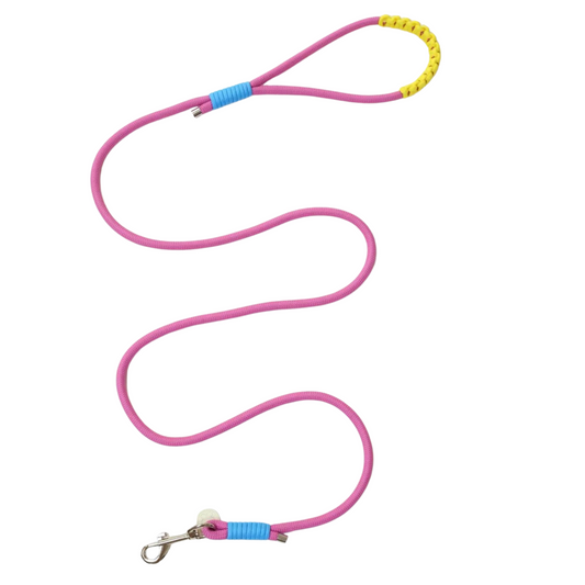 Lightweight Outdoor Dog Leash – Minimalist & Durable Pet Leash for Daily Walks