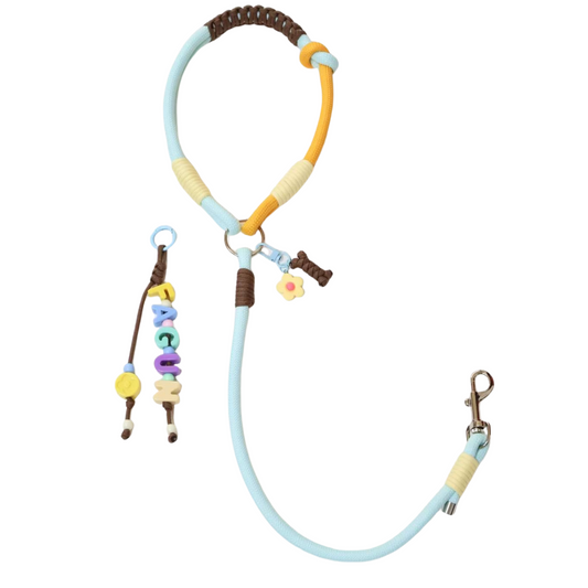 Custom Handwoven Dog Leash – Dopamine Color Rope Leash with Name Charm for Small to Medium Pets