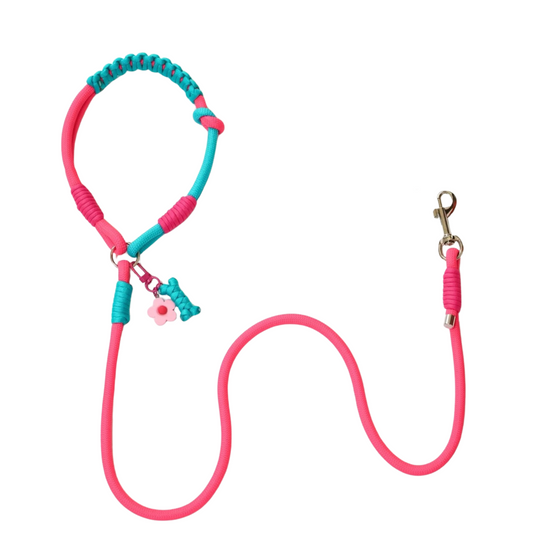 Handmade Dopamine Dog Leash – Pink & Teal Rope  with Flower Charm