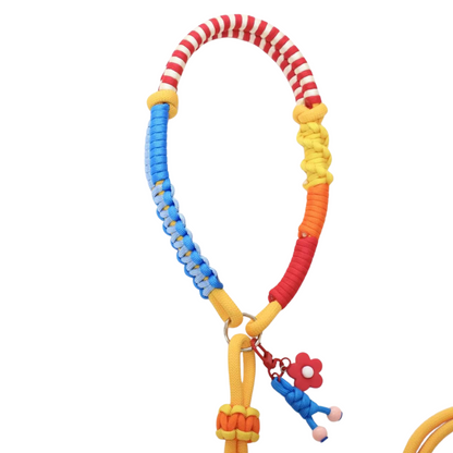 Colorful Rope Dog Leash with Custom Letter Beads – Handmade Multicolor Pet Lead