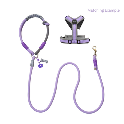 Handmade Purple Color Clash Dog Leash - Bold Designer Pet Leash for Medium Large Dogs