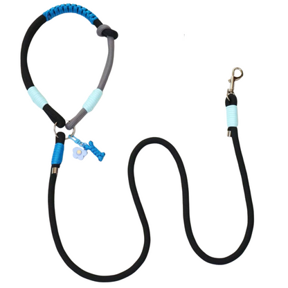 Blue and black slip lead dog leash with handle featuring light blue wrapped sections, blue flower charm and metal clasp on white background