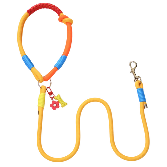 Colorful slip lead dog leash with rainbow rope handle featuring red, yellow, orange and blue wrapped sections, flower charm and metal clasp