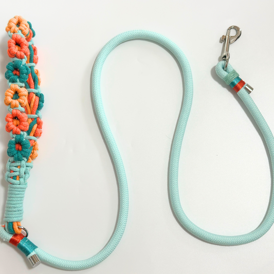 Dog leash with floral design on a white background