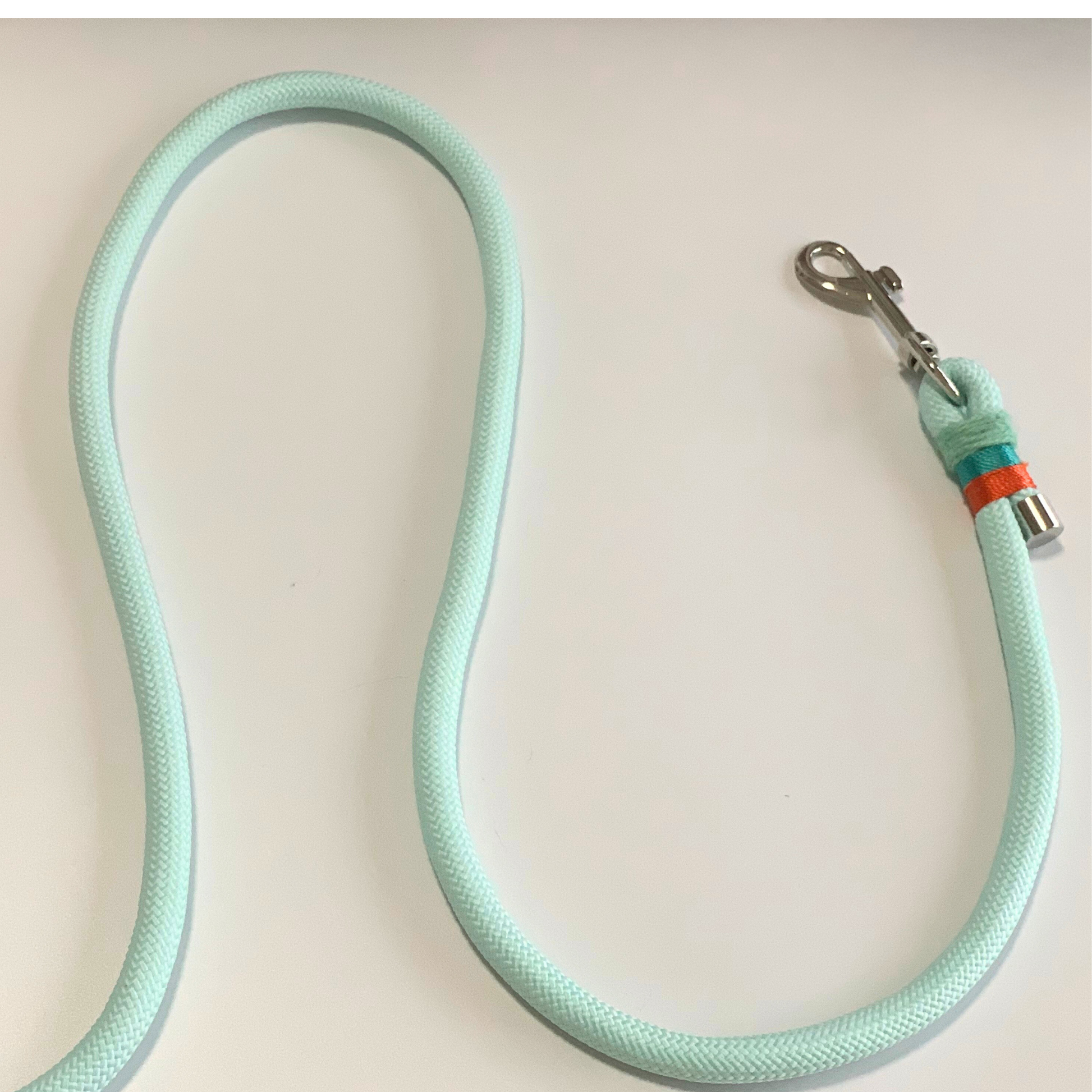 Light blue dog leash with a metal clip on a light beige background