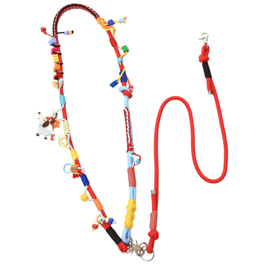 Multifunctional colorful crossbody pet leash with decorative beads and charms - doubles as phone lanyard strap