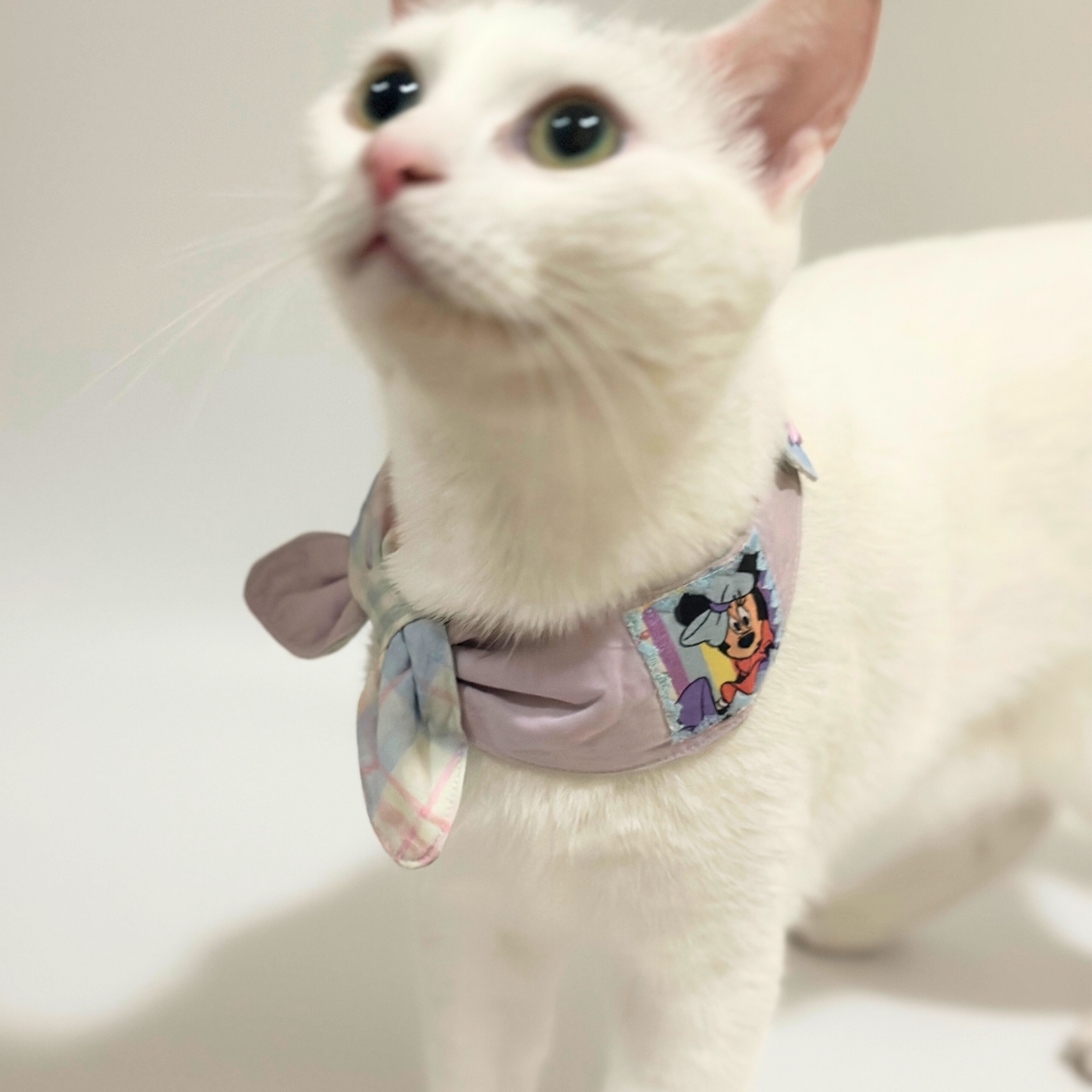 White cat wearing a colorful bandana on a plain background