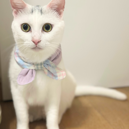 White cat wearing a colorful bandana on a neutral background