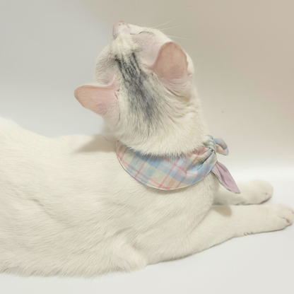 White cat wearing a plaid bandana on a white background