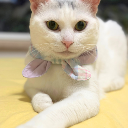 White cat wearing a colorful bandana with bunny ears on a yellow surface