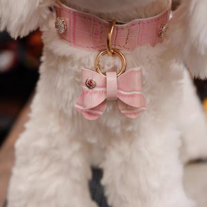 Close-up of a dog wearing a pink collar with a bow tag.