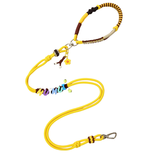 Yellow slip lead dog leash with brown and beige paracord handle featuring colorful letter beads spelling name, flower charm and metal clasp